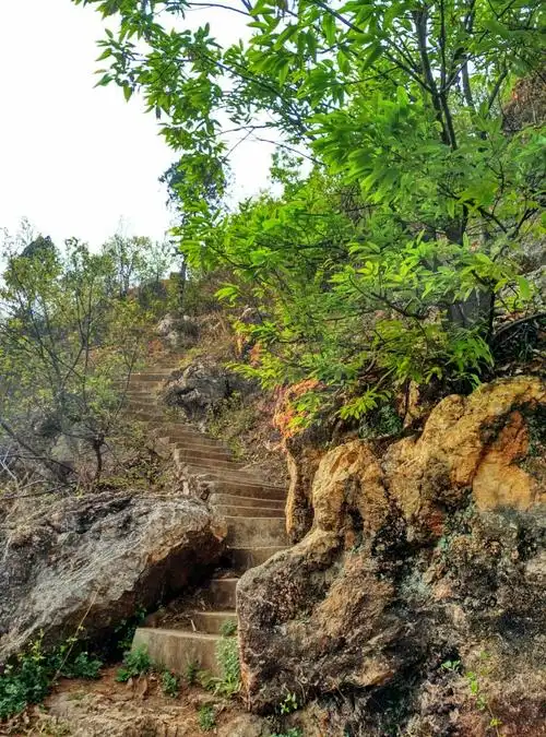 5千米,面积3.7平方千米.主峰海拔438米,峰陡峦翠,素有"鹿鸣耸翠"之誉.