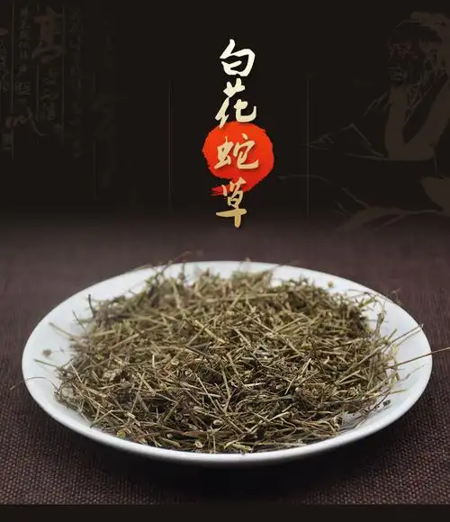 医味白花蛇舌草中药材500g克 新鲜干百花蛇舌草茶野生搭半枝莲铁树叶