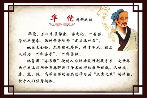 643海报印制海报展板素材22中医文化古代名医华佗简介
