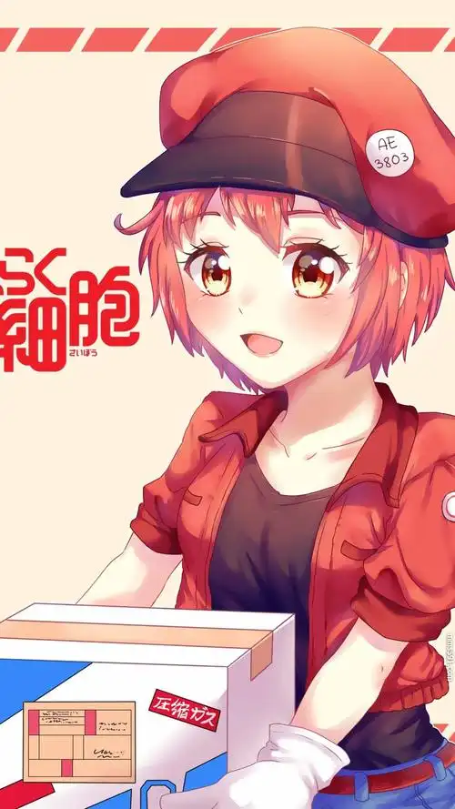 动漫工作细胞女主角红细胞同人手机壁纸图片(2)