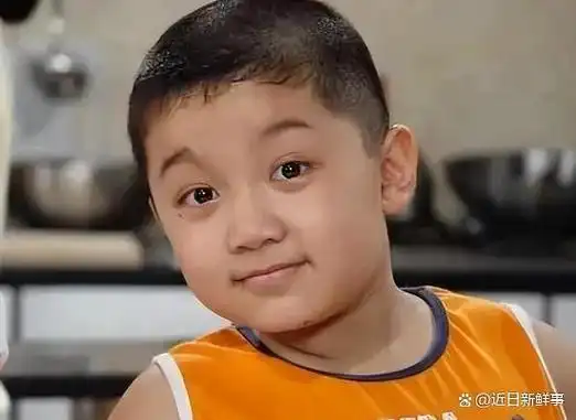 曾经爆火的《家有儿女》成员现状如何?有人落魄,有人最近又火了