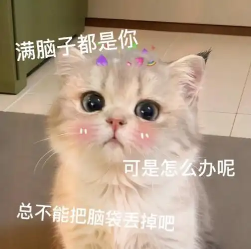 热门表情包原图精选(130个表情)-2023/04/17