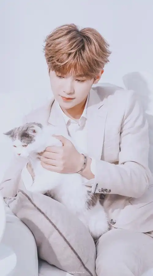 黄明昊 - 堆糖,美图壁纸兴趣社区