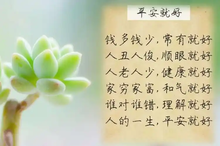 一生平平安安就好