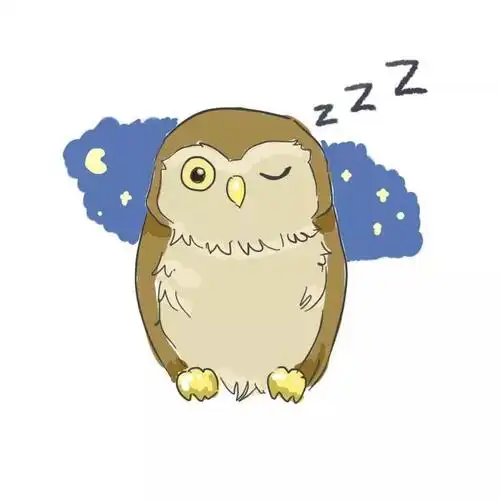 猫头鹰//采用这种姿势睡觉的原因,是因为用一脚站着既可以减少能量