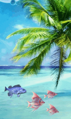 下载coast 240x400samsung l760屏保 - 2037046 | mobile9