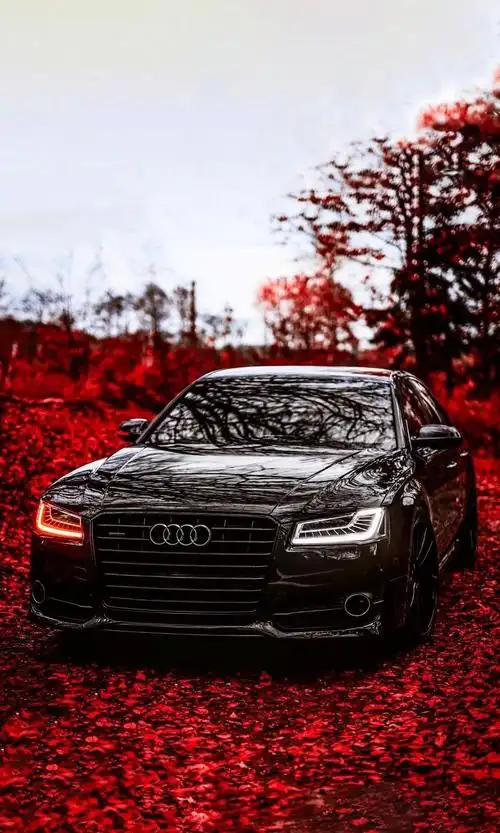 有没有奥迪的壁纸