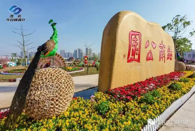 茂名站南公园正式开园,晚上看太美啦!你给它打几分?