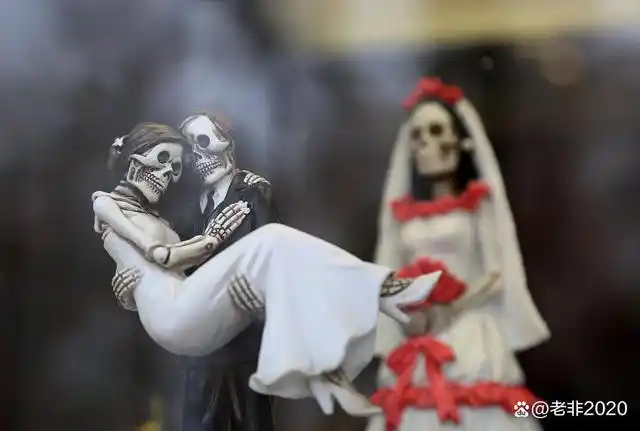 原创照片:阿尔伯克基的骷髅新娘原创照片:阿尔伯克基老城的橱窗6,自驾