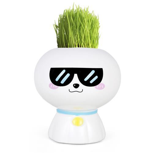 幼儿园儿童种植小盆栽摆件桌面迷你可爱草头娃娃diy种草长草植物