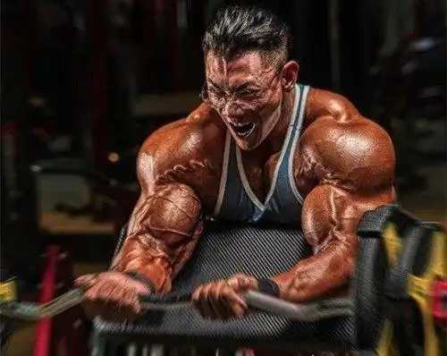 中国第一肌肉男鹿晨辉首个获得健美黄金联赛冠军的中国人