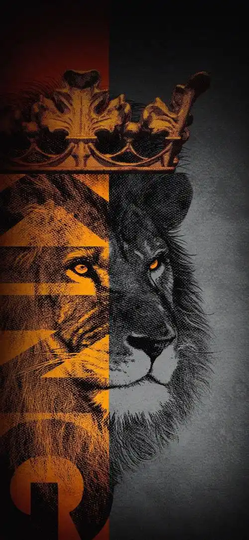 全面屏壁纸治愈去追风吧