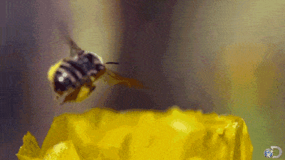 张仲景医圣带我们讲解其中的奥妙….