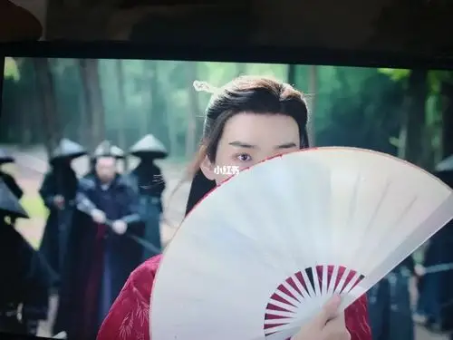 也是一部费扇子的 温客行 你说 那一次见阿絮 你扇子上不得见血