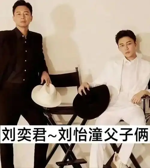 杜淳|杨玏|杜志国|刘恺威|刘奕君|杨立新|赵树海_网易订阅