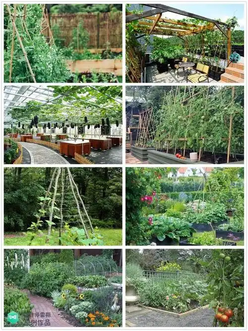 庭院菜园怎么设计最好看264张案例图布置详解简直太实用了