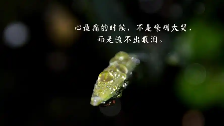 对一个人心凉了的说说图片