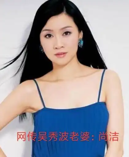 吴秀波妻子何震亚简历 吴秀波原配