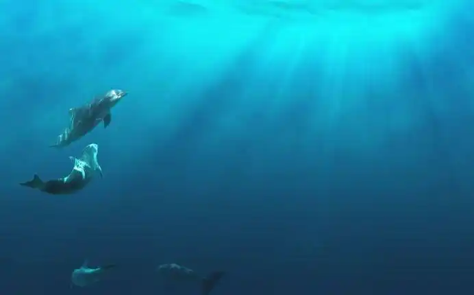 一万米深的海底究竟有什么?别轻易入深海,海底生物吓退你!