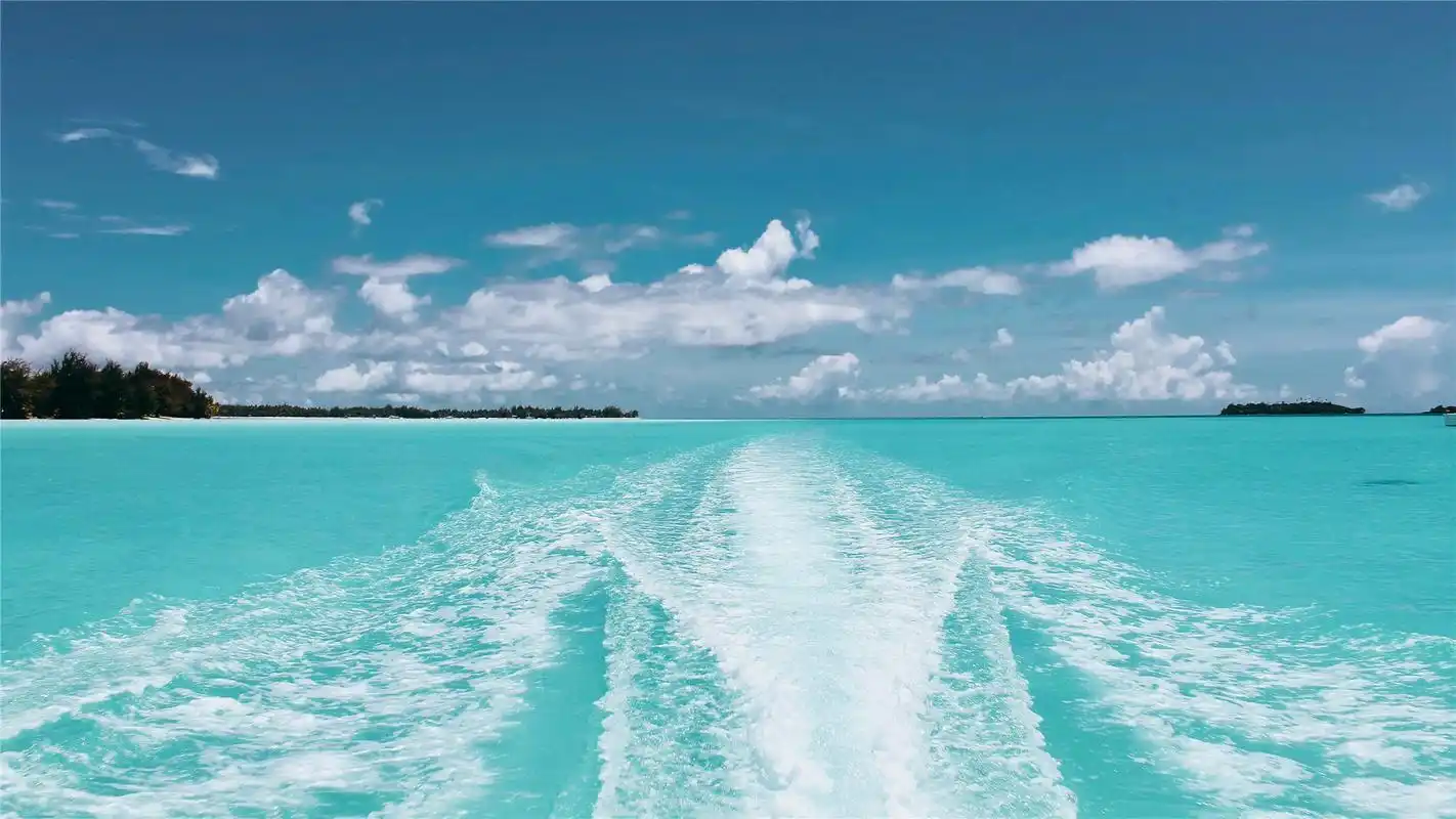 关于海洋研学,你知道多少?