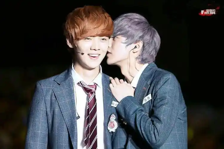 鹿晗 鹿鹿和晗晗啊