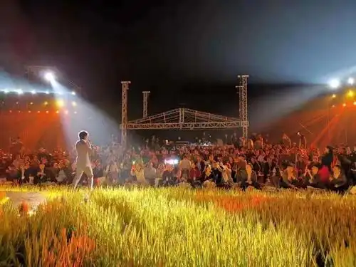 舞台,以稻田为背景,以星辰银河为点缀,让音符自由地,在庆丰的田野上空