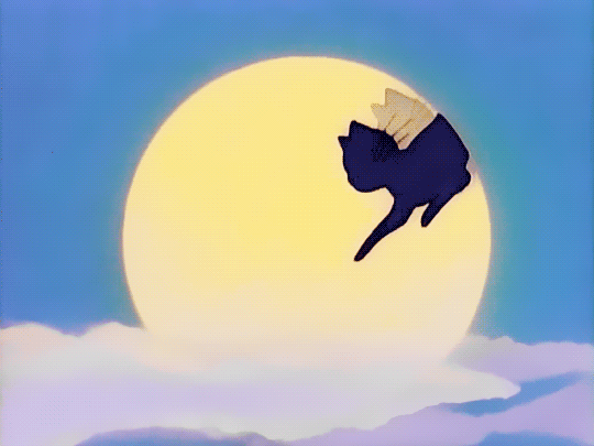 540_405gif 动态图 动图