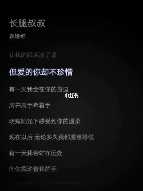 长腿叔叔歌词模板