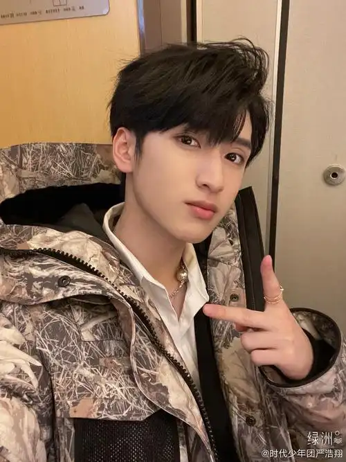 时代少年团严浩翔颜值怎么样很多人说他像郝富申