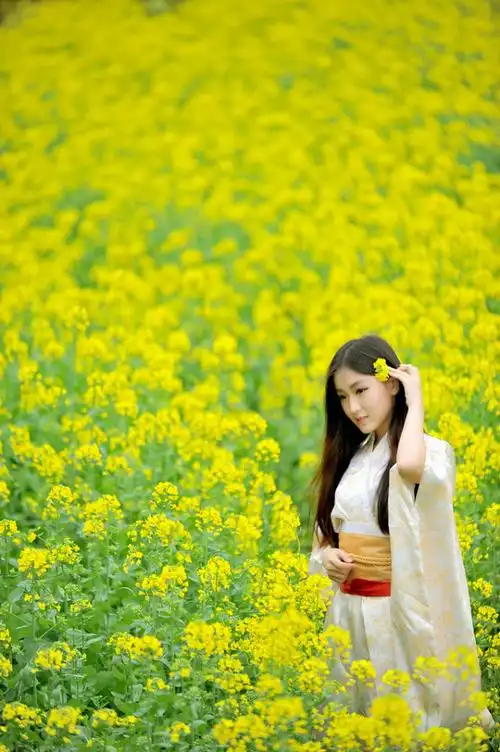 田间油菜花海映衬古典风韵,淡雅脱俗