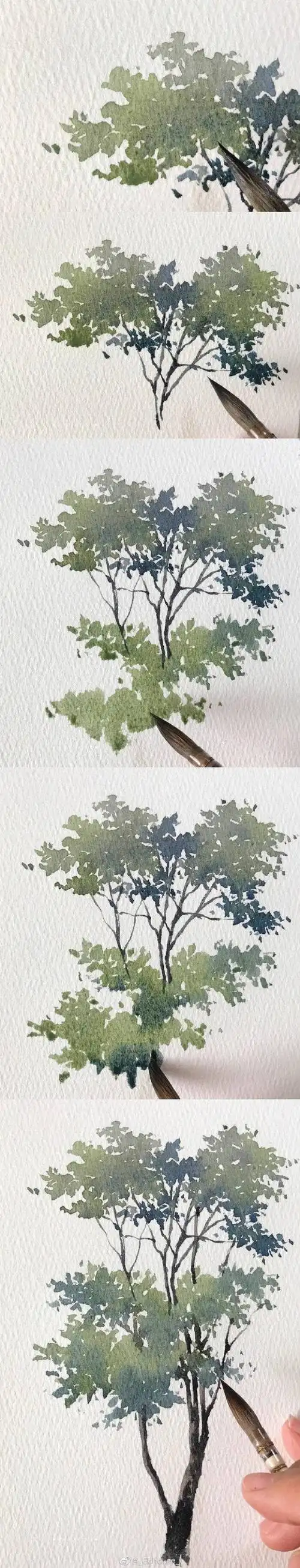 水彩树,图片来源于微博,作者见水印