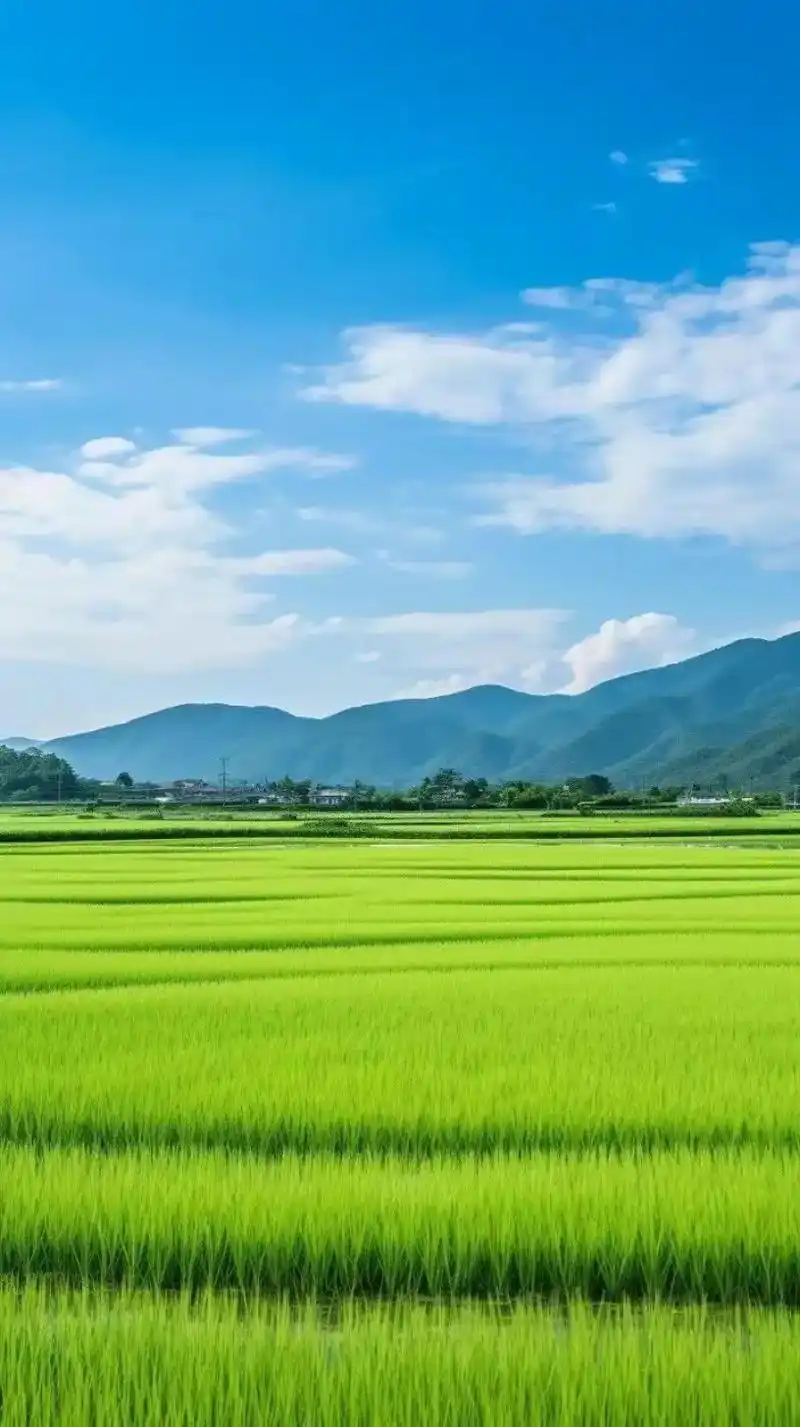 蓝天白云绿草地这风景太美了, 带你感受一下大自然的气息和美景