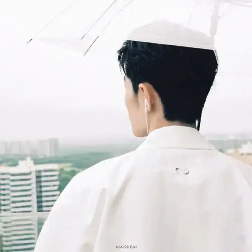 内娱明星头像大户##肖战