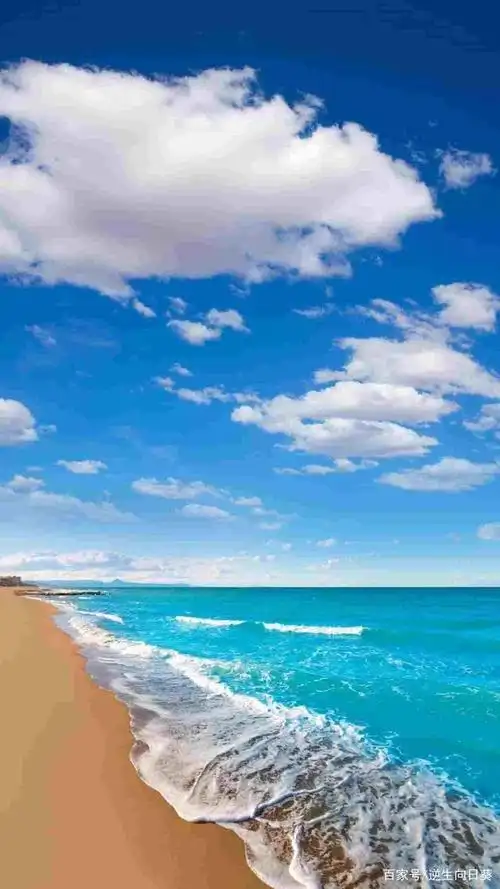 在心里装一片大海和阳光