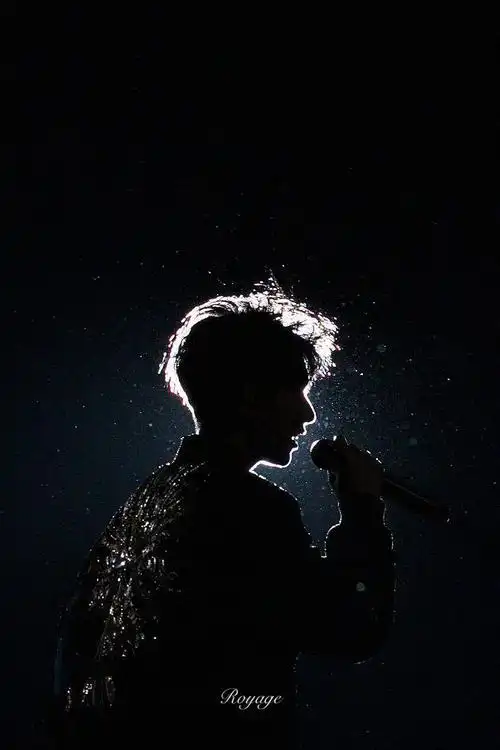 王源剪影图片合集,360度帅气无死角