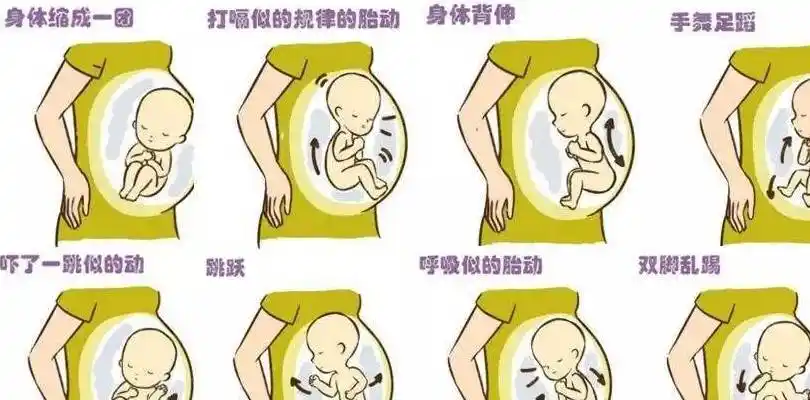 不同的孕月,胎动位置,孕妈妈感觉各不同,了解一下更好找胎心_胎儿