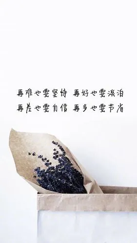 正能量文字语录