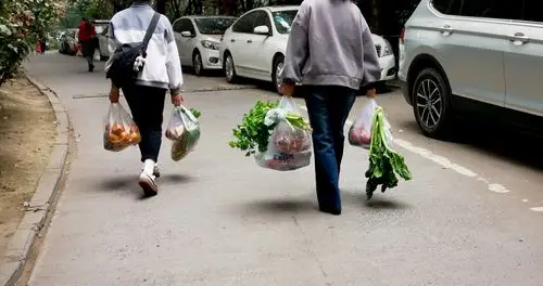 两位业主提着购买的蔬菜回家. 2月26日拍摄于龙马潭区.