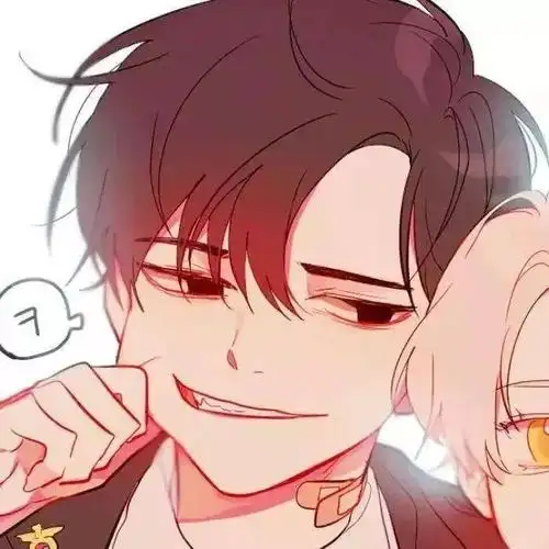 敲多奈斯的轻腐基友头像吖