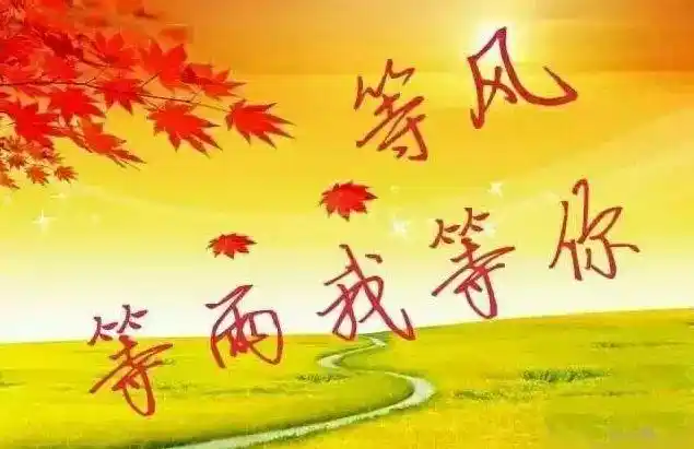 等风等雨我等你