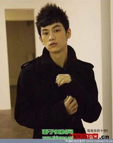 男生栗棕色头发图片3