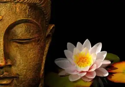 是梦想中的模样