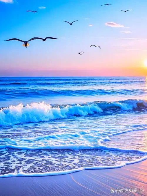 海浪轻吻着沙滩,阳光灿烂下,我与海鸥翩翩起舞,风中弥漫着海的咸香