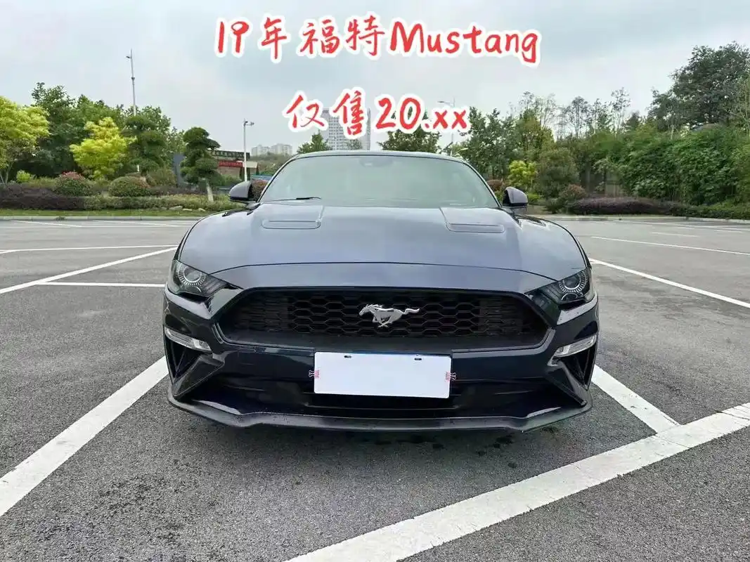 渣男必备跑车.19年上牌福特野马 2.3t前置后驱全液晶仪表 - 抖音