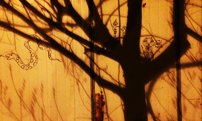 在夜晚运用墙壁上树的倒影,与插画相结合的一种新的艺术创作形式.