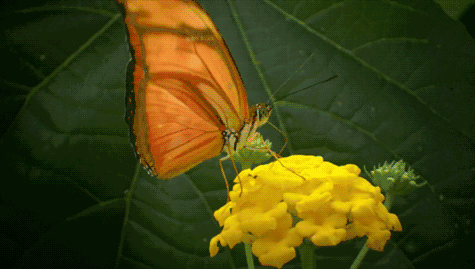 475_269gif 动态图 动图