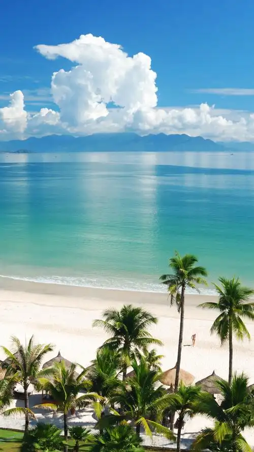 大海自然景色h5背景