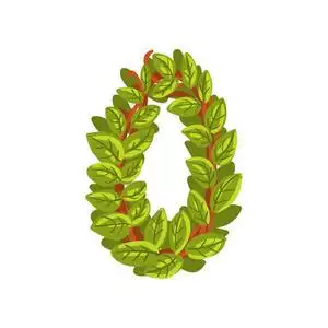 字母 o, 英文字母表由树枝, 生态元素的旗帜, 卡片, 标签, 演示或海报