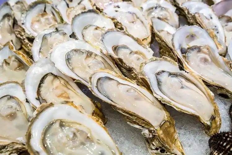 生鲜,海鲜,水产,海产品,生蚝