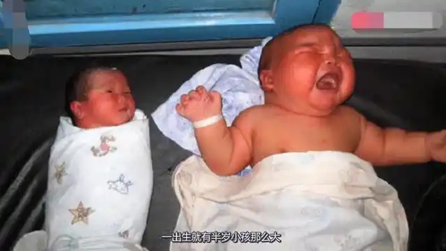 36岁秦海璐生下"巨婴症"儿子,时隔5年,孩子的现状令人欣慰